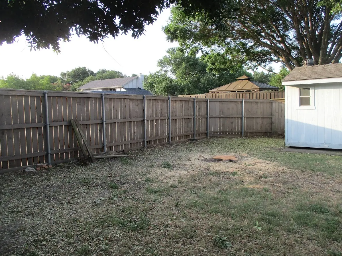 Cleared yard after professional tree removal in Parkman
