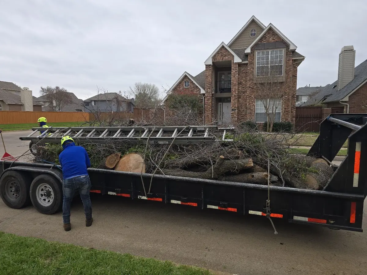 Expert Tree Removal with proper safety equipment in Parkman